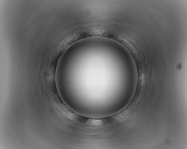 X0000091930665200709051502