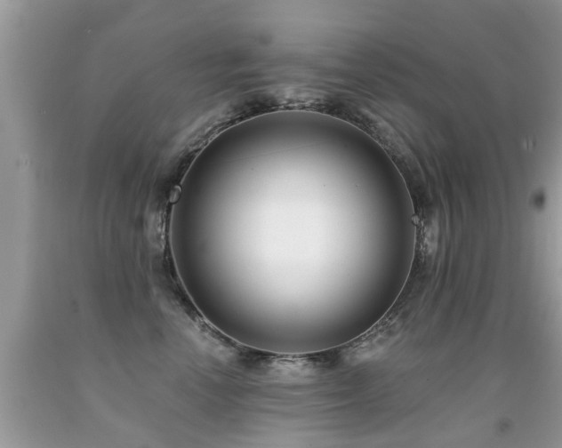X0000091930666200709051502