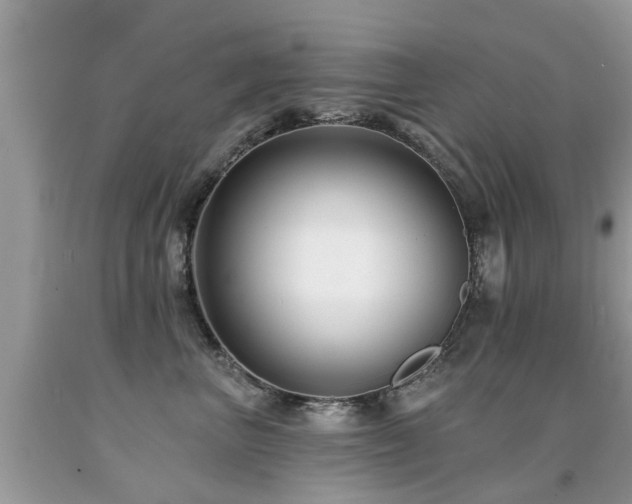 X0000091930667200709051502