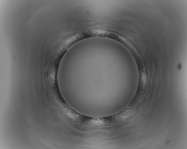 X0000091930668200709051502