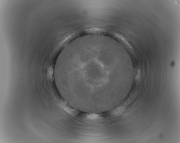 X0000091930669200709051502