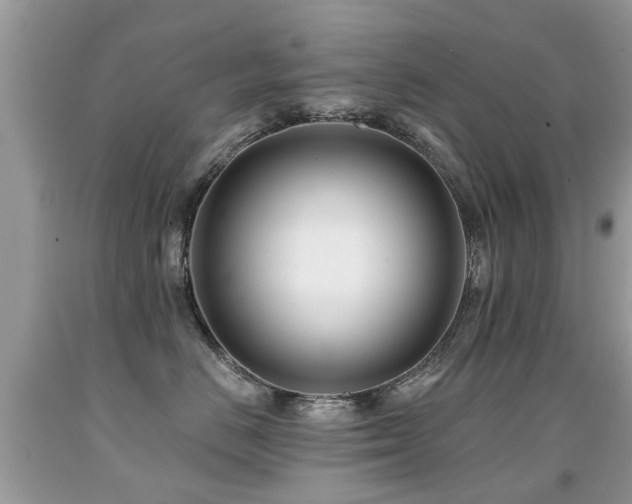 X0000091930670200709051502