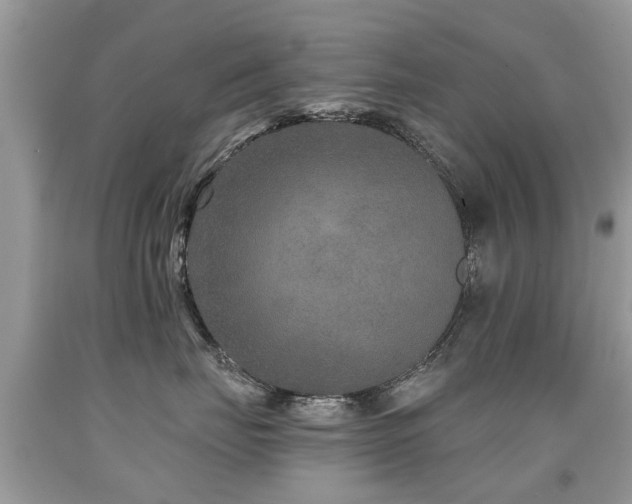 X0000091930671200709051502
