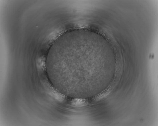 X0000091930672200709051502