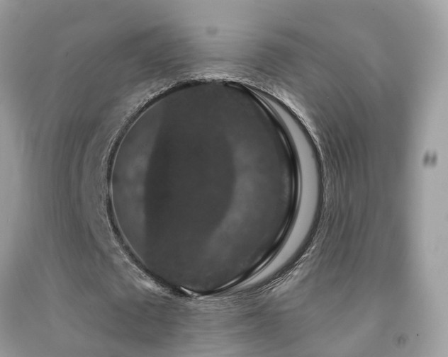 X0000091930673200709051502