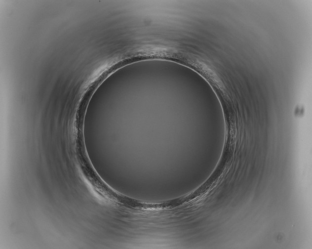 X0000091930674200709051502