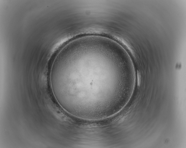 X0000091930675200709051502