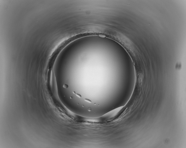 X0000091930676200709051502