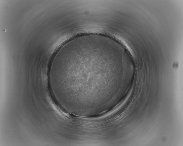 X0000091930677200709051502