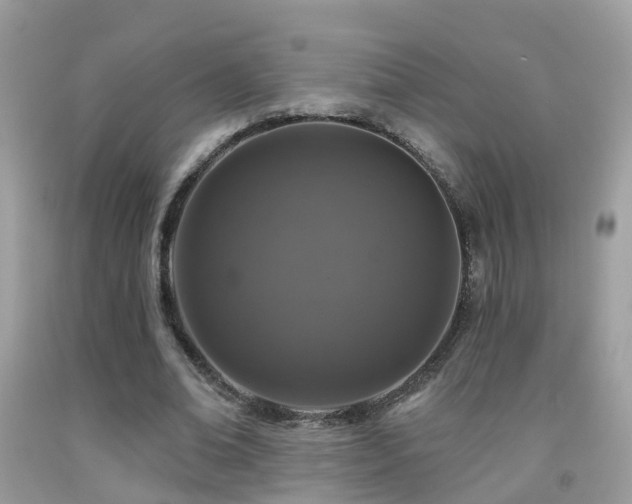 X0000091930678200709051502