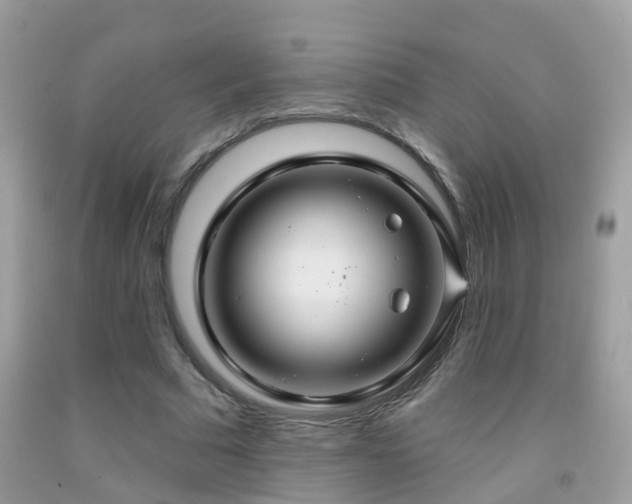 X0000091930681200709051502