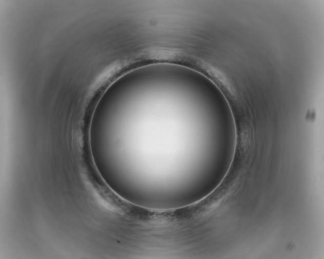 X0000091930682200709051502