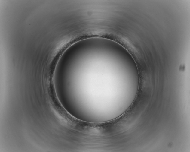 X0000091930683200709051502