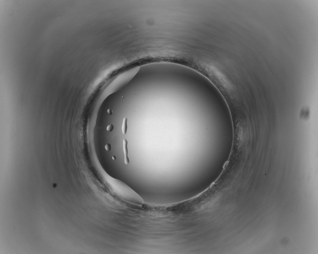 X0000091930684200709051502