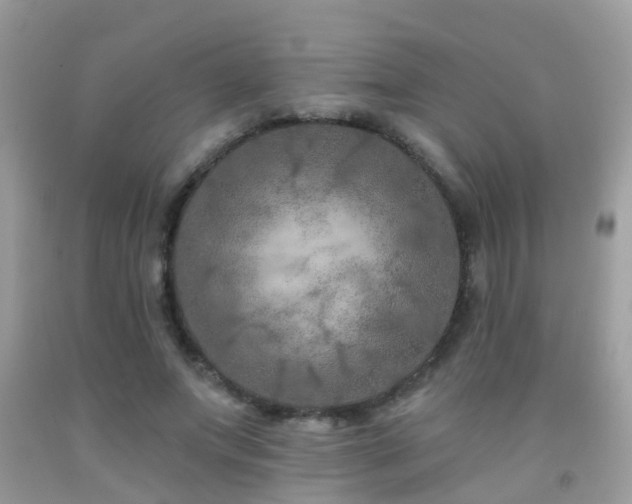 X0000091930687200709051502