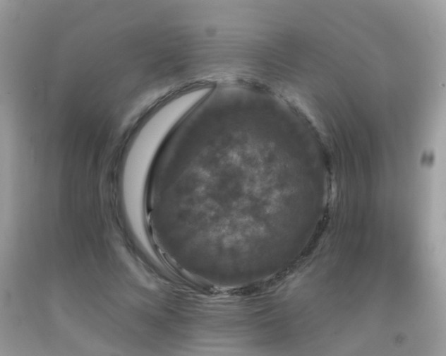 X0000091930688200709051502