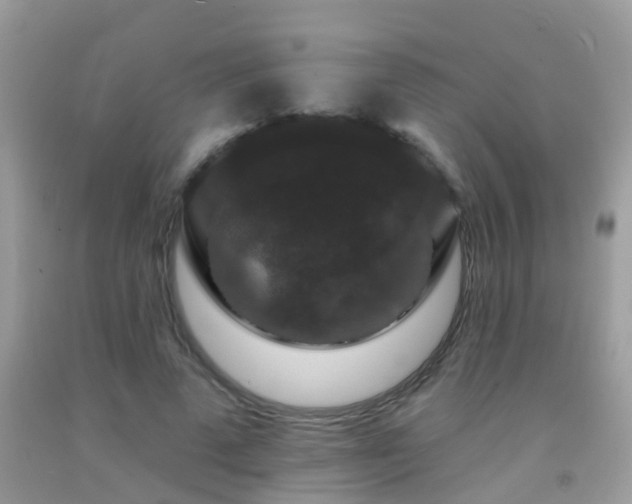 X0000091930689200709051502
