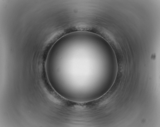 X0000091930690200709051502