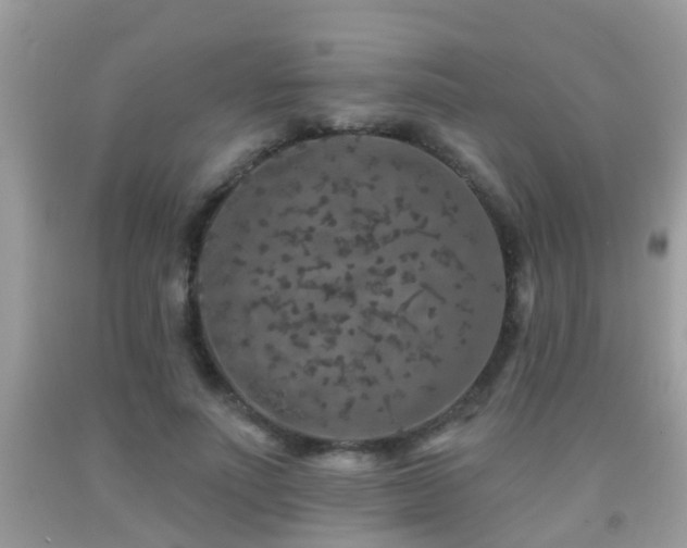X0000091930691200709051502