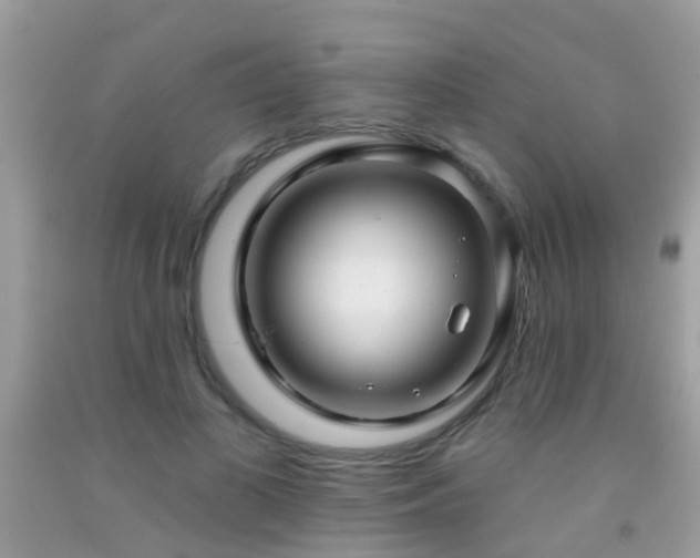 X0000091930693200709051502