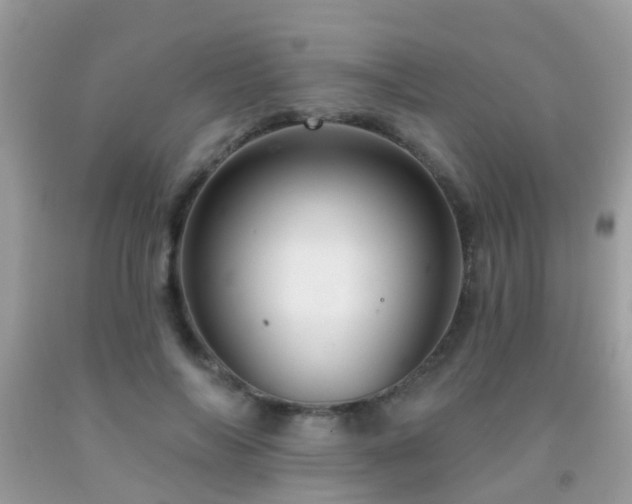 X0000091930694200709051502