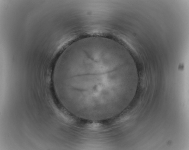 X0000091930695200709051502