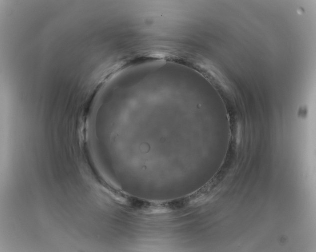 X0000091930696200709051501