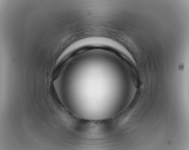 X0000091930697200709051501