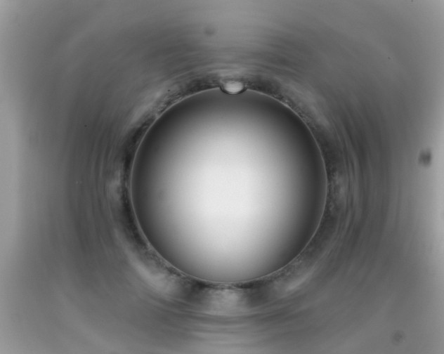 X0000091930698200709051501