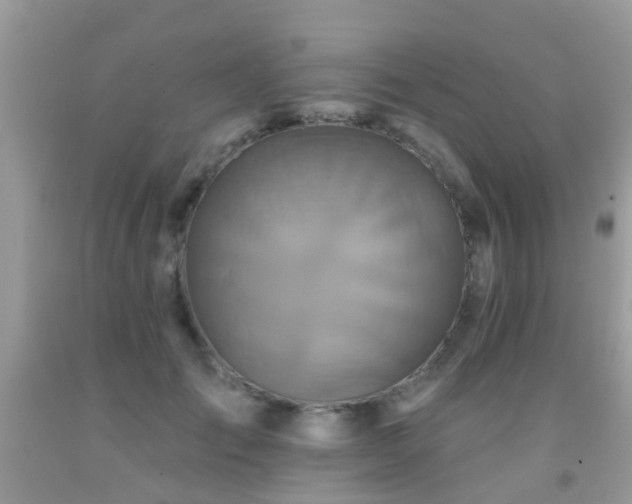 X0000091930701200709051501