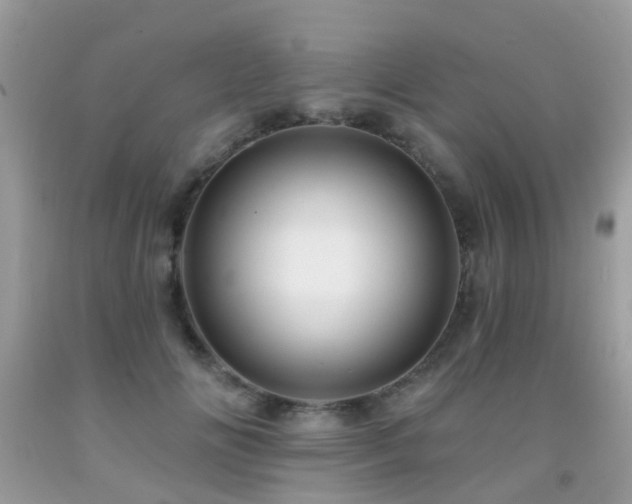 X0000091930702200709051501