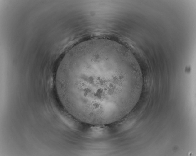 X0000091930703200709051501