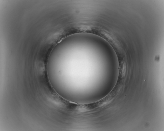 X0000091930704200709051501