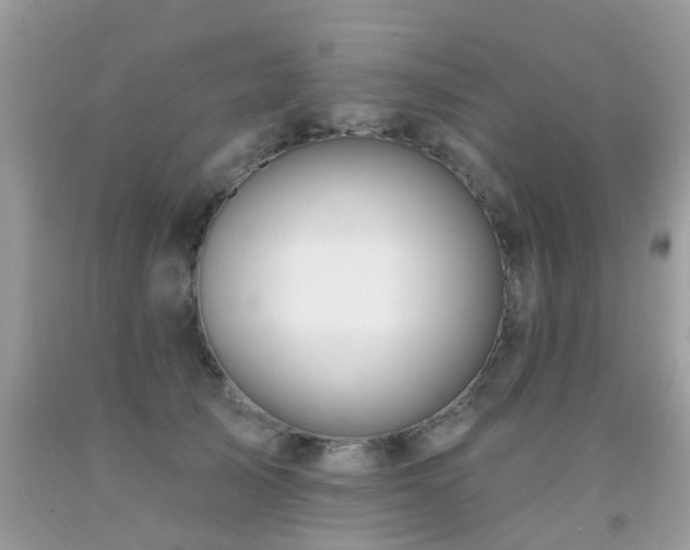 X0000091930705200709051501