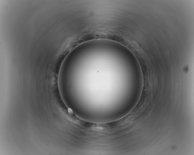 X0000091930706200709051501