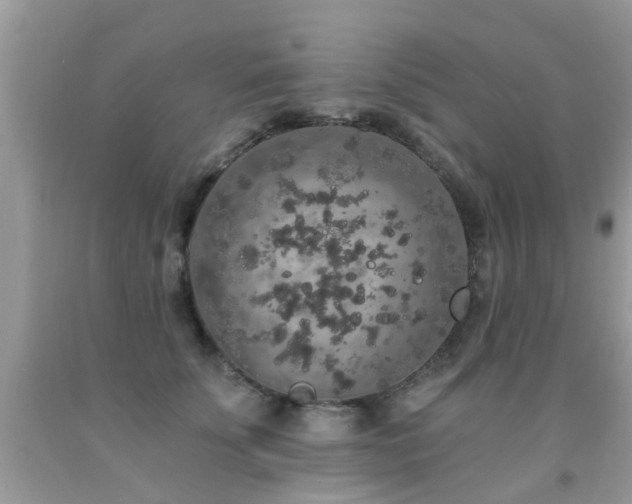 X0000091930707200709051501