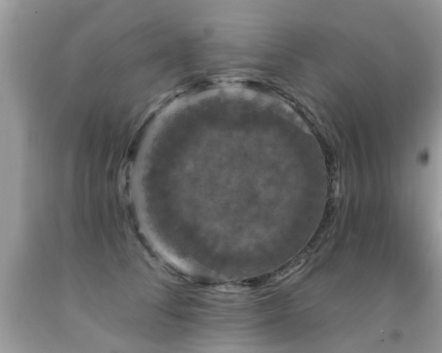 X0000091930708200709051501