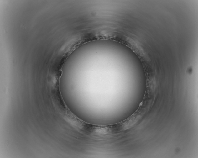 X0000091930709200709051501