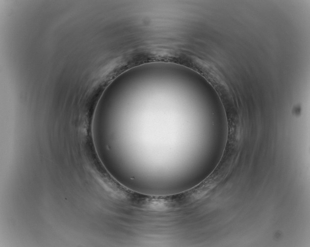 X0000091930710200709051501