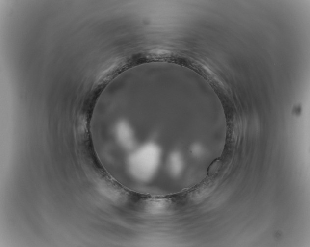 X0000091930711200709051501