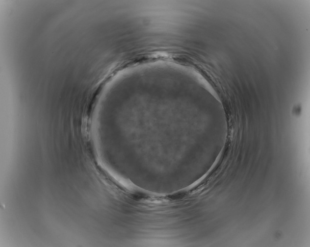 X0000091930712200709051501