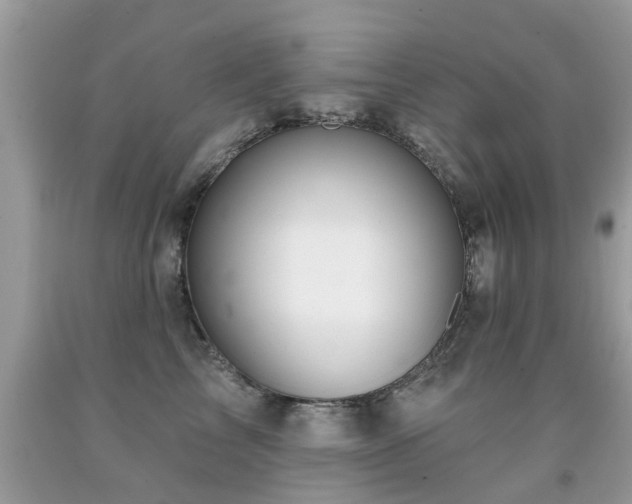 X0000091930713200709051501