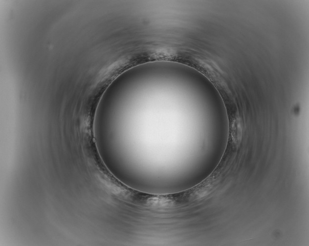 X0000091930714200709051501