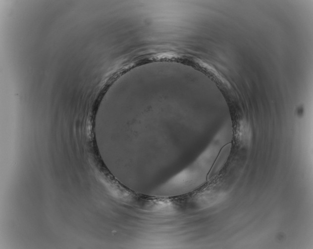 X0000091930715200709051501