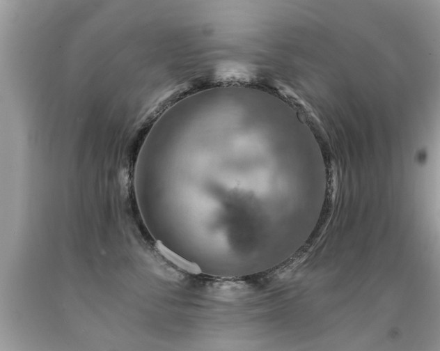 X0000091930716200709051501