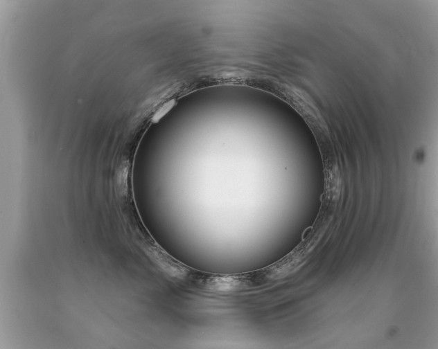 X0000091930717200709051501