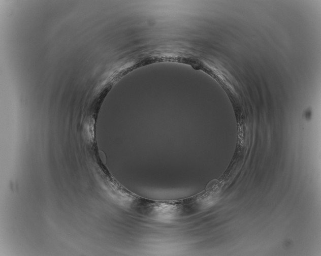 X0000091930718200709051501
