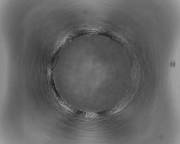 X0000091930720200709051501