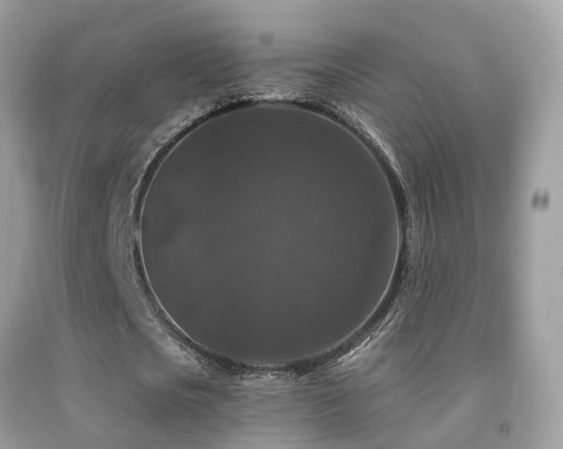 X0000091930721200709051501