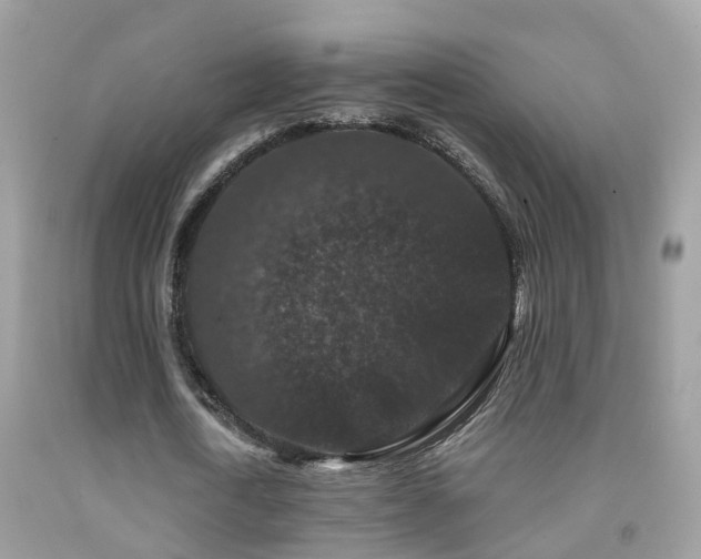 X0000091930722200709051501